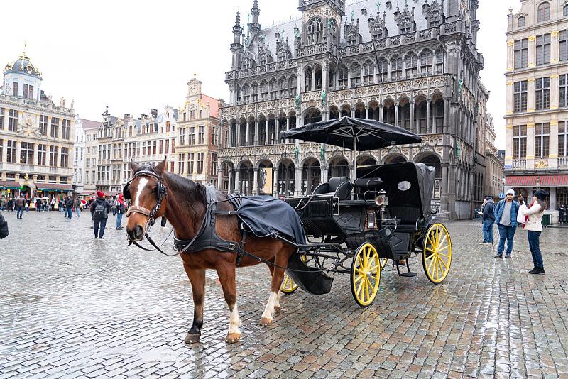 Click image for larger version  Name:	Brussels2.jpg Views:	0 Size:	815.5 KB ID:	1262982