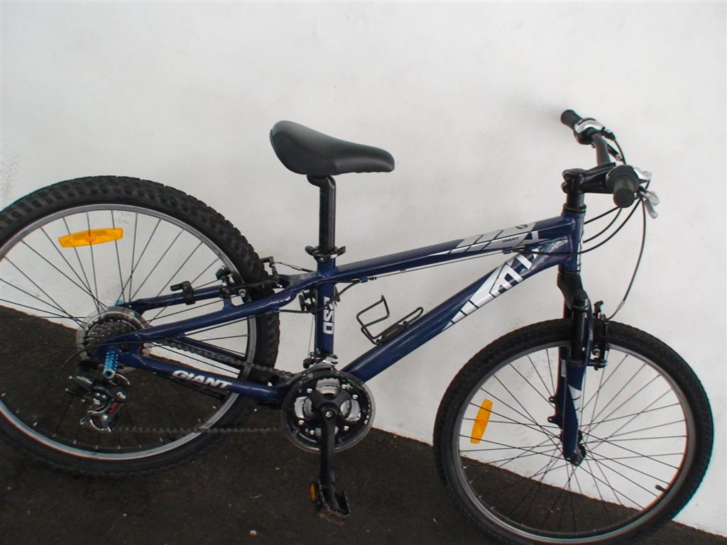 giant mtx 250 mountain bike price