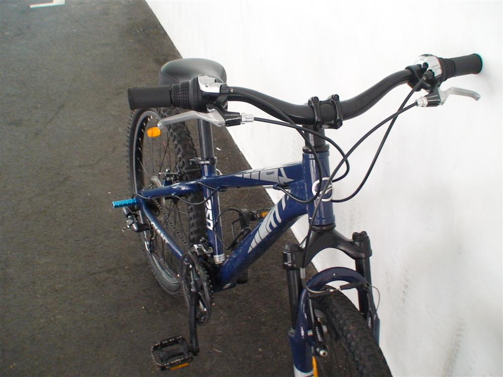 giant 250 bike